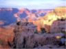 Immagine gran canyon